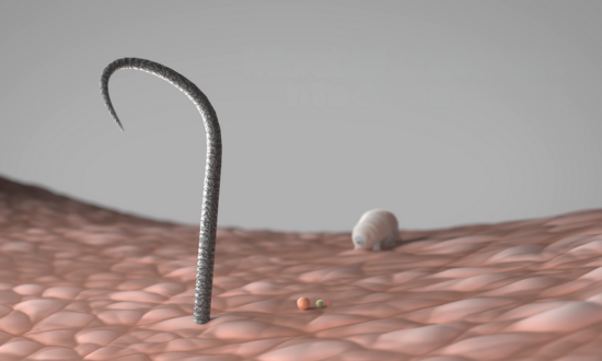 Mikrobielle Herausforderungen