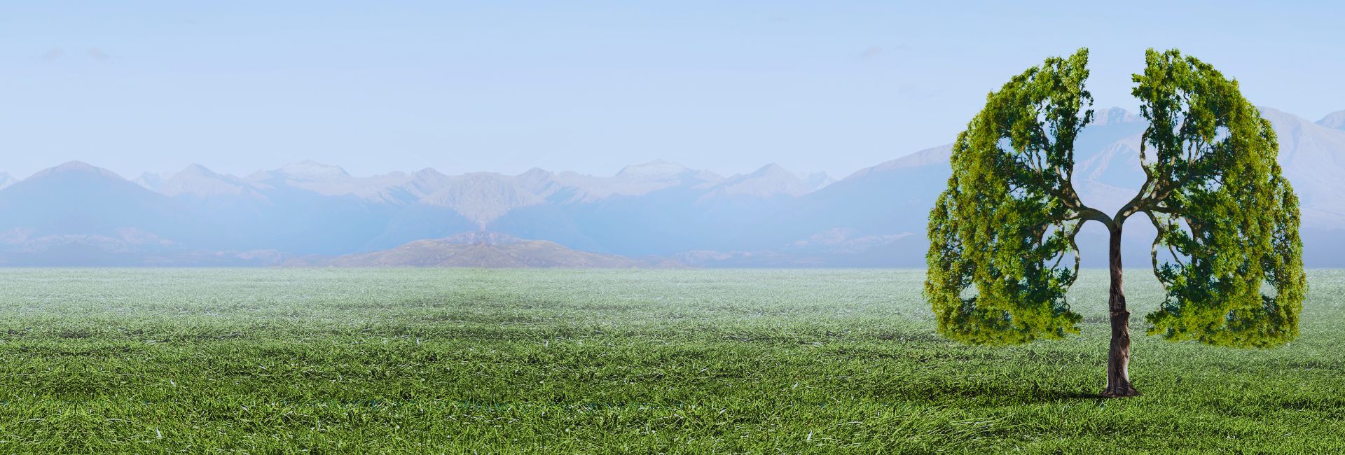 Abonnieren Sie unseren kostenlosen E-Newsletter „Durchatmen“