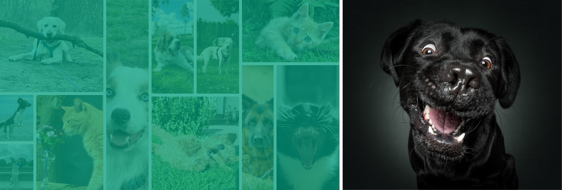 Die Gewinner unseres Fotokalender-Wettbewerbs stehen fest!