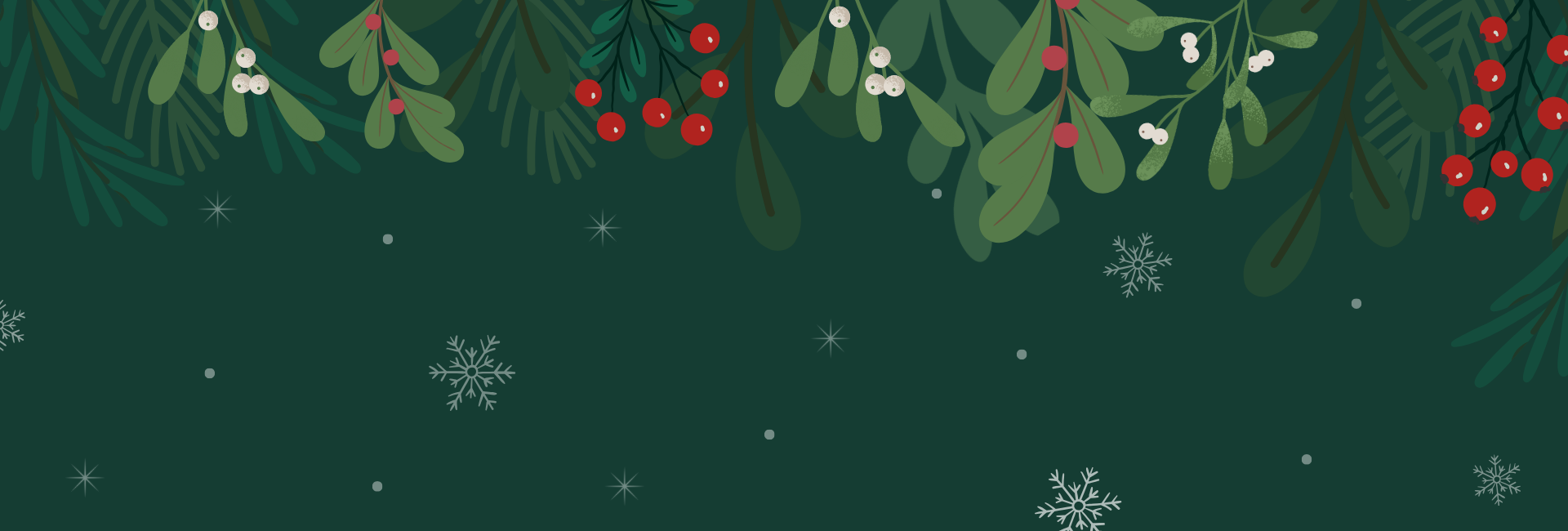 Frohe Weihnachten und einen guten Rutsch ins neue Jahr!