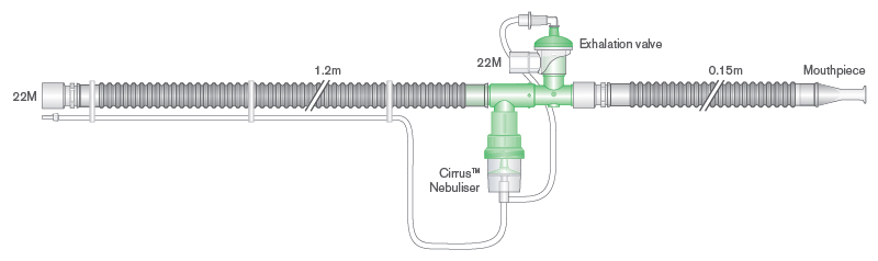 IPPB-System für Bird®